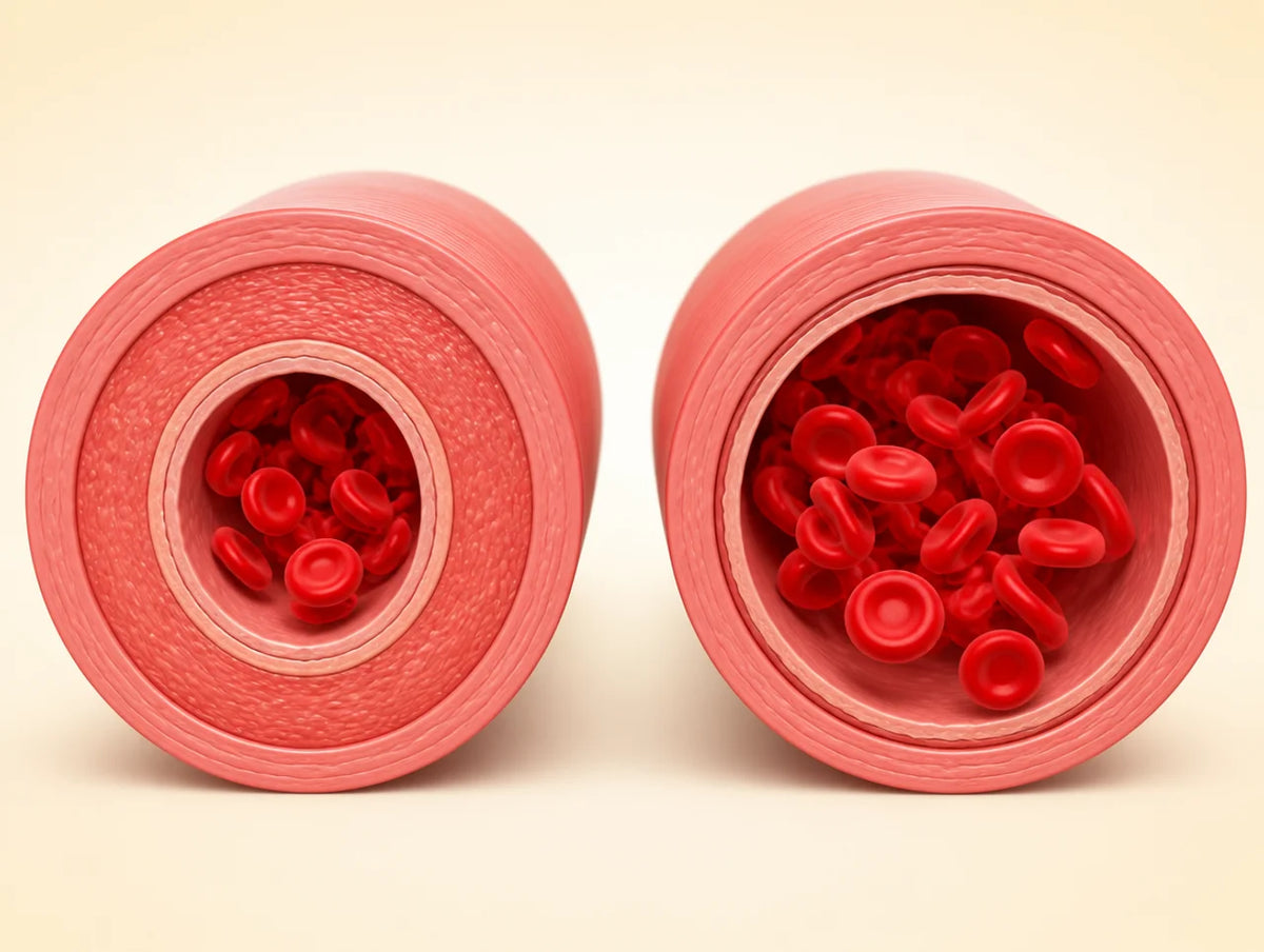 Your vessels widen. Blood goes where it should.